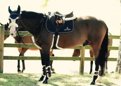 KENTUCKY HORSEWEAR Vegan Sheepskin Stud Girth Brown Sale