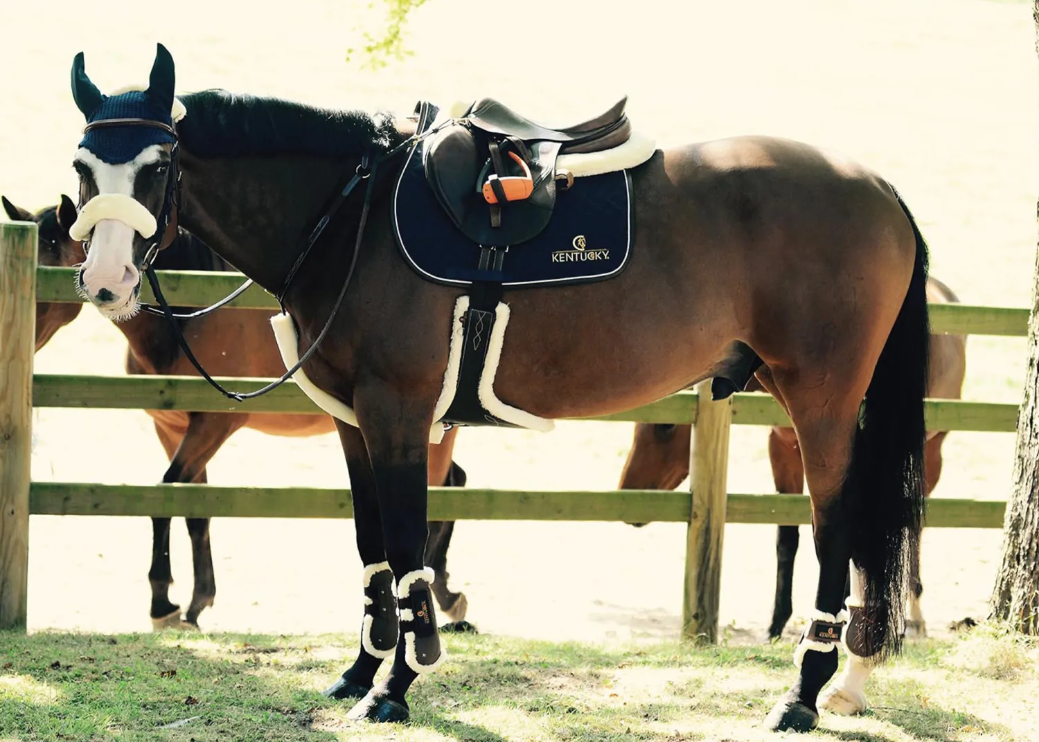 KENTUCKY HORSEWEAR Vegan Sheepskin Stud Girth Brown Sale