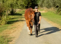 KERRITS  Ladies’ Microcord Bootcut Pocket Knee-Patch Breech - Regular Online