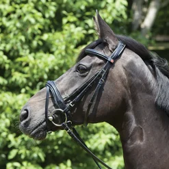 KIEFFER SATTLERWAREN Kieffer Perseus Clincher Snaffle Bridle Black/Black Hot