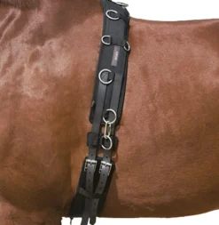 KIEFFER SATTLERWAREN Kieffer Surcingle Discount