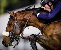 KHK HOLDINGS LLC Kunkle Show Gloves Clearance