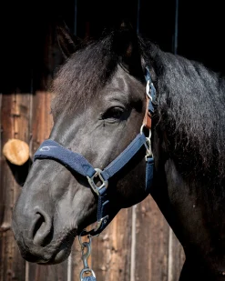 PARTRADE Lami-Cell Fleece-Lined Halter Discount