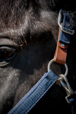 PARTRADE Lami-Cell Fleece-Lined Halter Discount