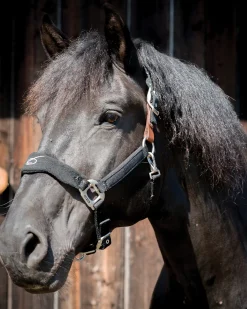 PARTRADE Lami-Cell Fleece-Lined Halter Discount