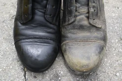 ANIMAL HEALTH INT Leather Therapy® Restorer & Conditioner™ Clearance