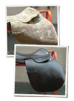 ANIMAL HEALTH INT Leather Therapy® Wash Clearance