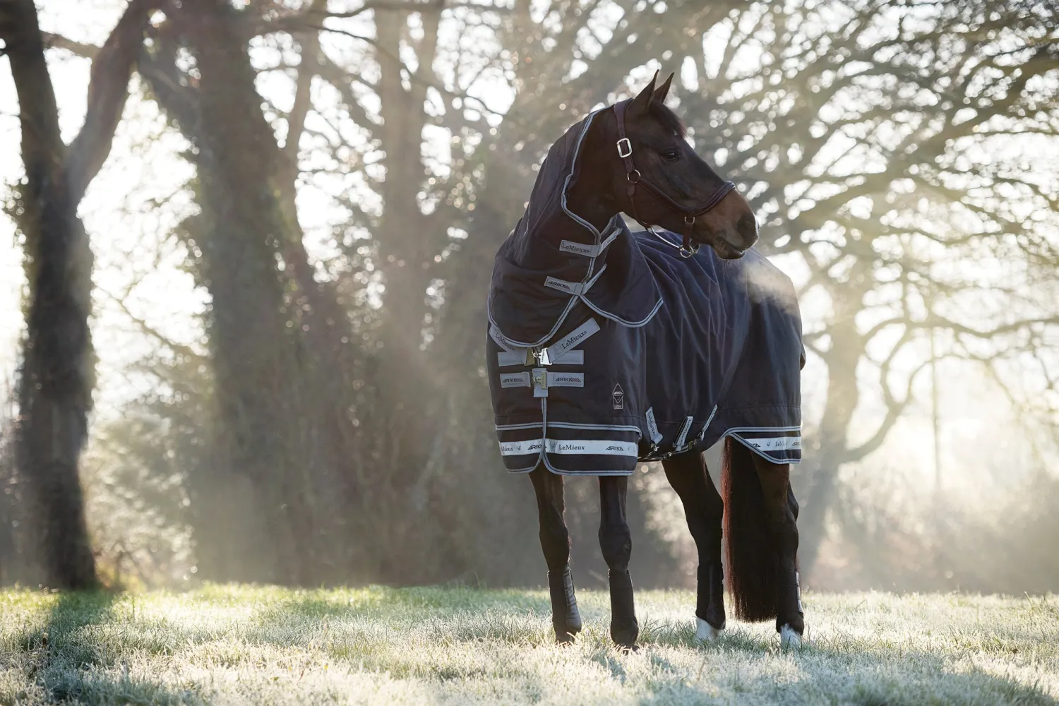 HORSE HEALTH TRADE LeMieux® Arika Storm-Tek 350 Gram Turnout Blanket Navy Clearance