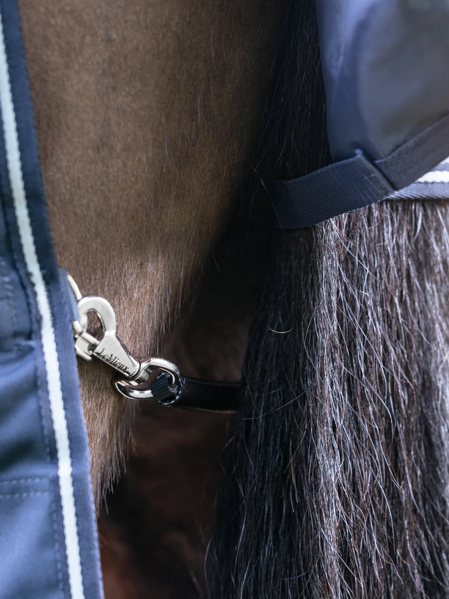 HORSE HEALTH TRADE LeMieux® Arika Storm-Tek 100 Gram Turnout Blanket with Leg Straps Navy/White/Navy Clearance