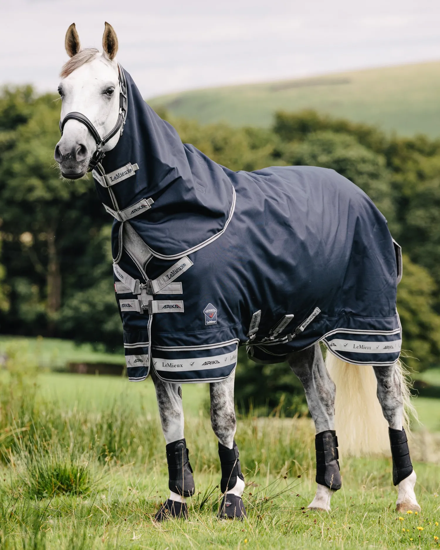 HORSE HEALTH TRADE LeMieux® Arika Storm-Tek 100 Gram Turnout Blanket Navy New