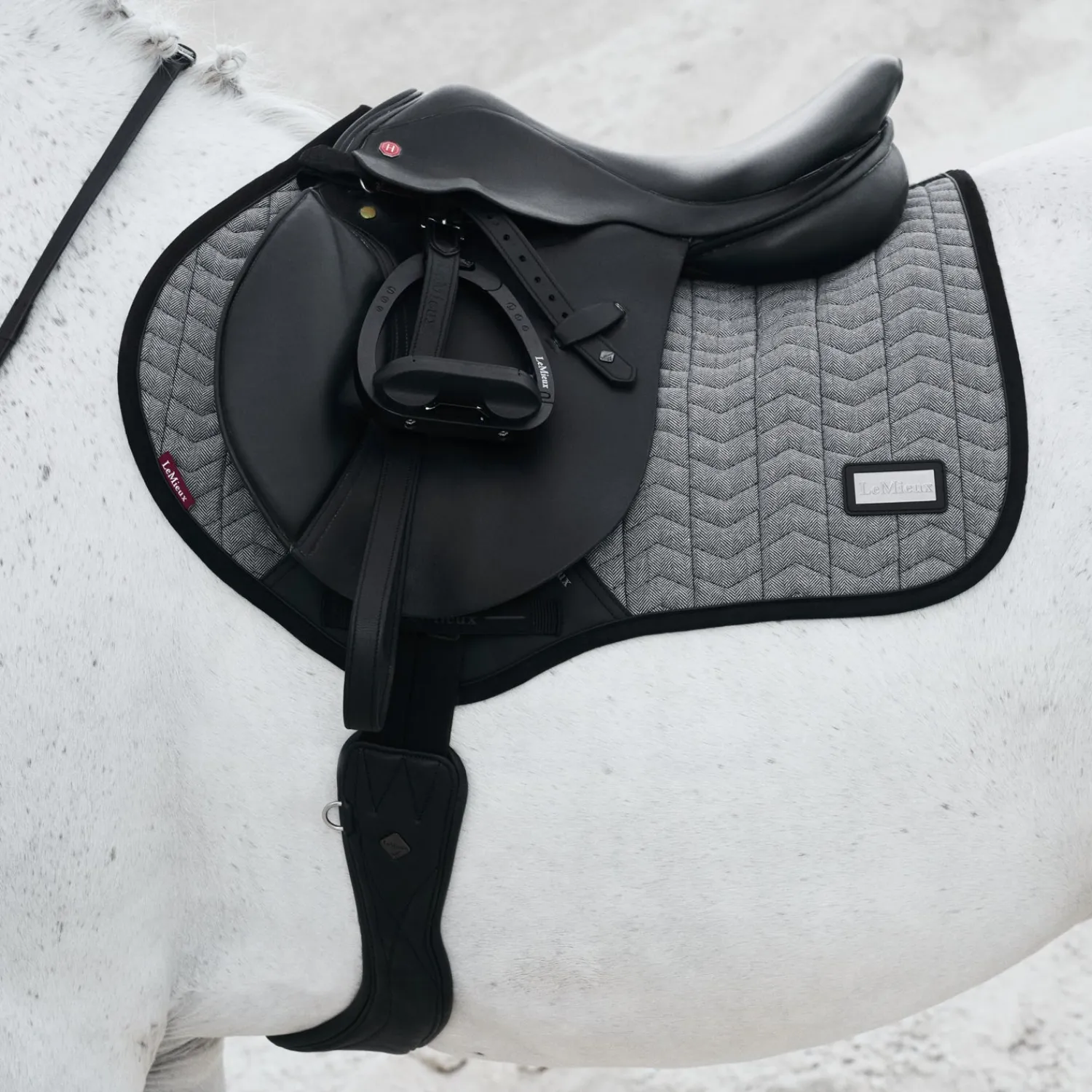 HORSE HEALTH TRADE LeMieux® Aspen Close Contact Saddle Pad Sale