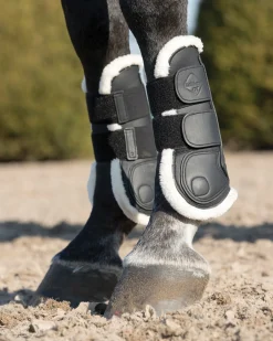 HORSE HEALTH TRADE LeMieux® Capella Comfort Tendon Boots Online