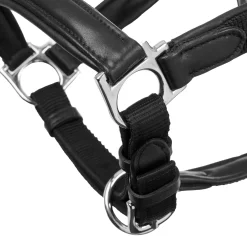 HORSE HEALTH TRADE LeMieux® Capella Halter Black Hot