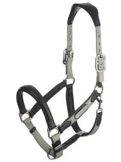 HORSE HEALTH TRADE LeMieux® Capella Headcollar