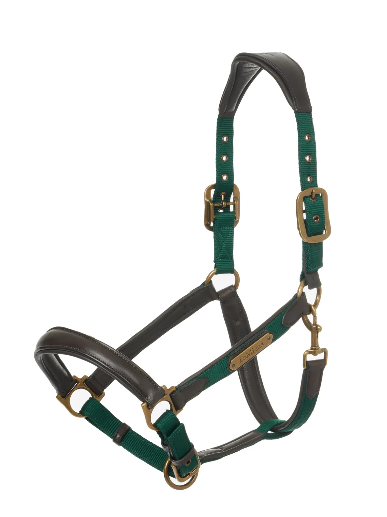 HORSE HEALTH TRADE LeMieux® Capella Headcollar