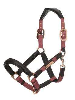 HORSE HEALTH TRADE LeMieux® Capella Headcollar