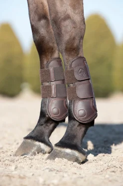 HORSE HEALTH TRADE LeMieux® Capella Tendon Boots Outlet