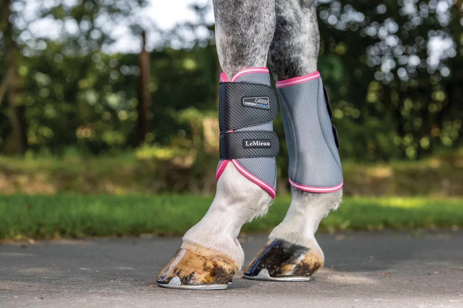 HORSE HEALTH TRADE LeMieux® Carbon Mesh Wrap Boots New