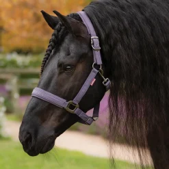 HORSE HEALTH TRADE LeMieux® Essence Halter Best