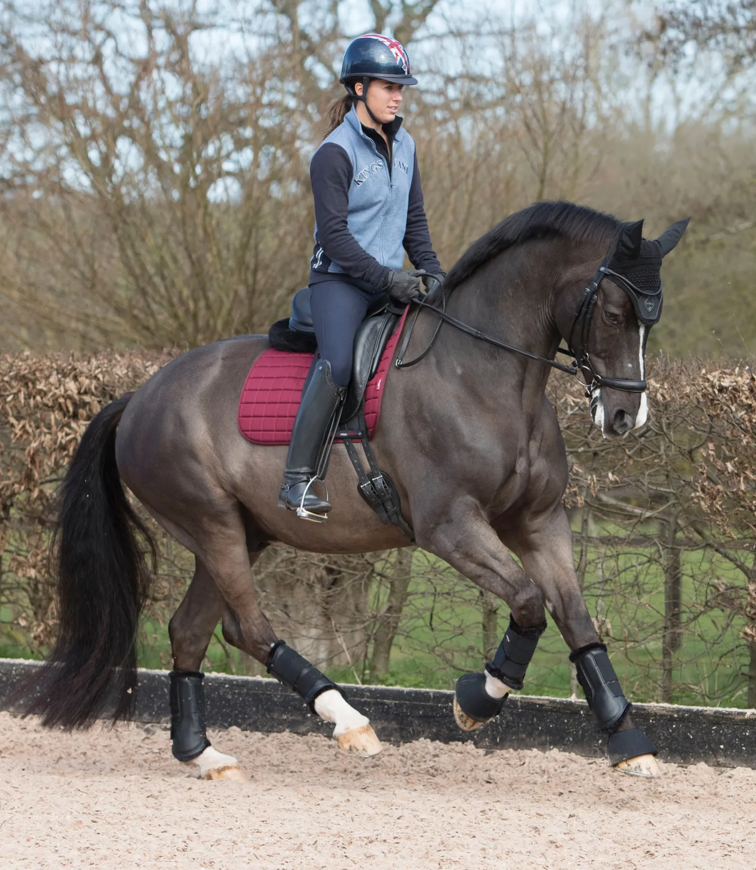 HORSE HEALTH TRADE LeMieux® Fleece-Lined Brushing Boots New