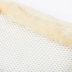 HORSE HEALTH TRADE LeMieux® Fleece-Lined Mesh Brushing Boots Best