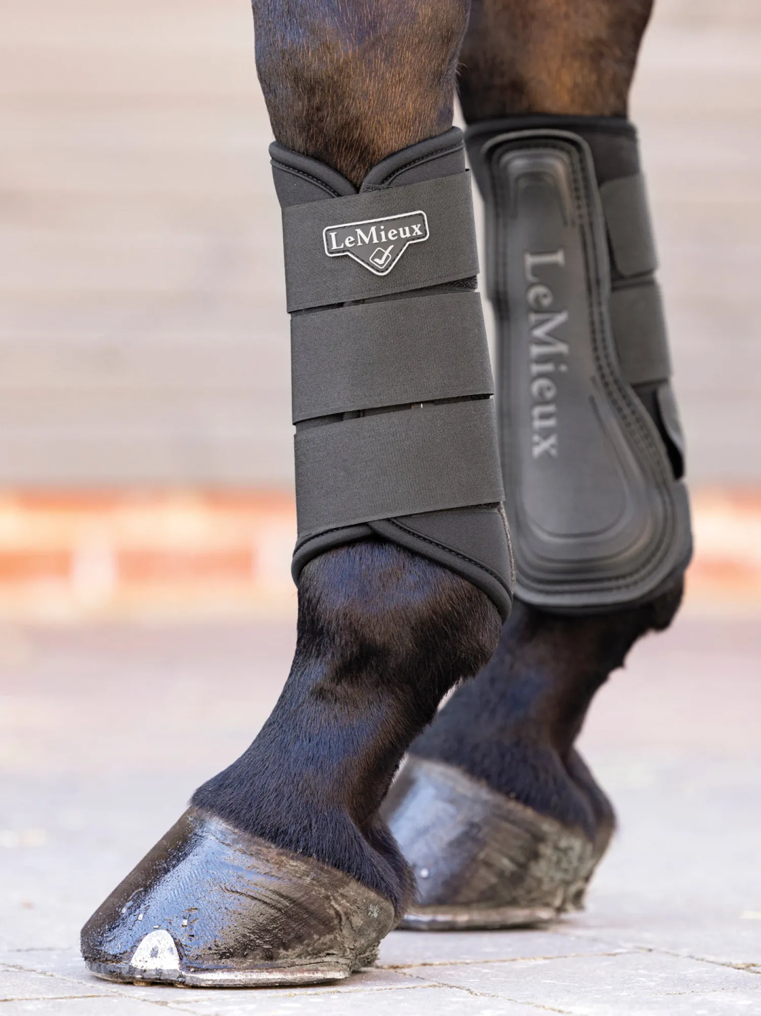HORSE HEALTH TRADE Lemieux® Grafter Brushing Boots Sale