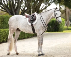 HORSE HEALTH TRADE LeMieux® Hunter-Stitched Bridle Havana Clearance