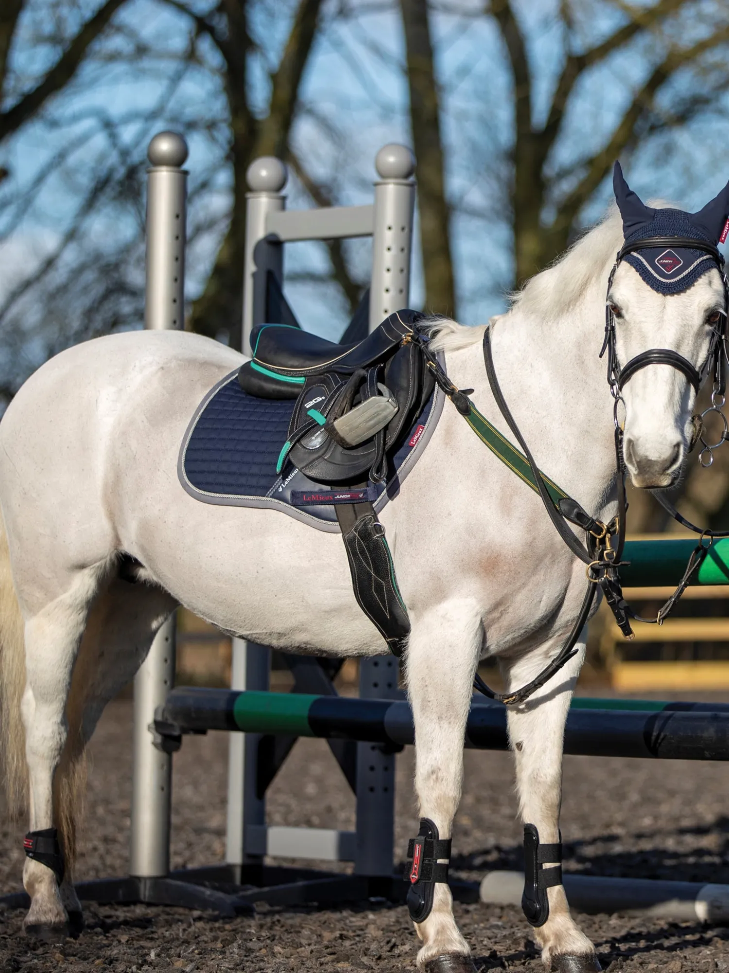 HORSE HEALTH TRADE LeMieux® Junior Pro GP Jump Pony Square Pad New