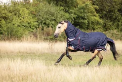 HORSE HEALTH TRADE LeMieux® Kudos 100 Gram Turnout Blanket Navy Hot