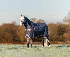 HORSE HEALTH TRADE LeMieux® Kudos 200 Gram Turnout Blanket Navy