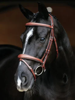 HORSE HEALTH TRADE LeMieux® Kudos Competition Flash Bridle Outlet