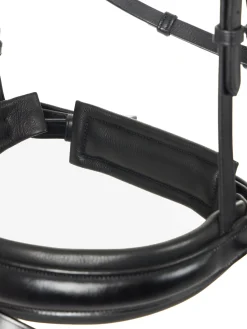 HORSE HEALTH TRADE LeMieux® Kudos Dressage Flash Bridle Black Online