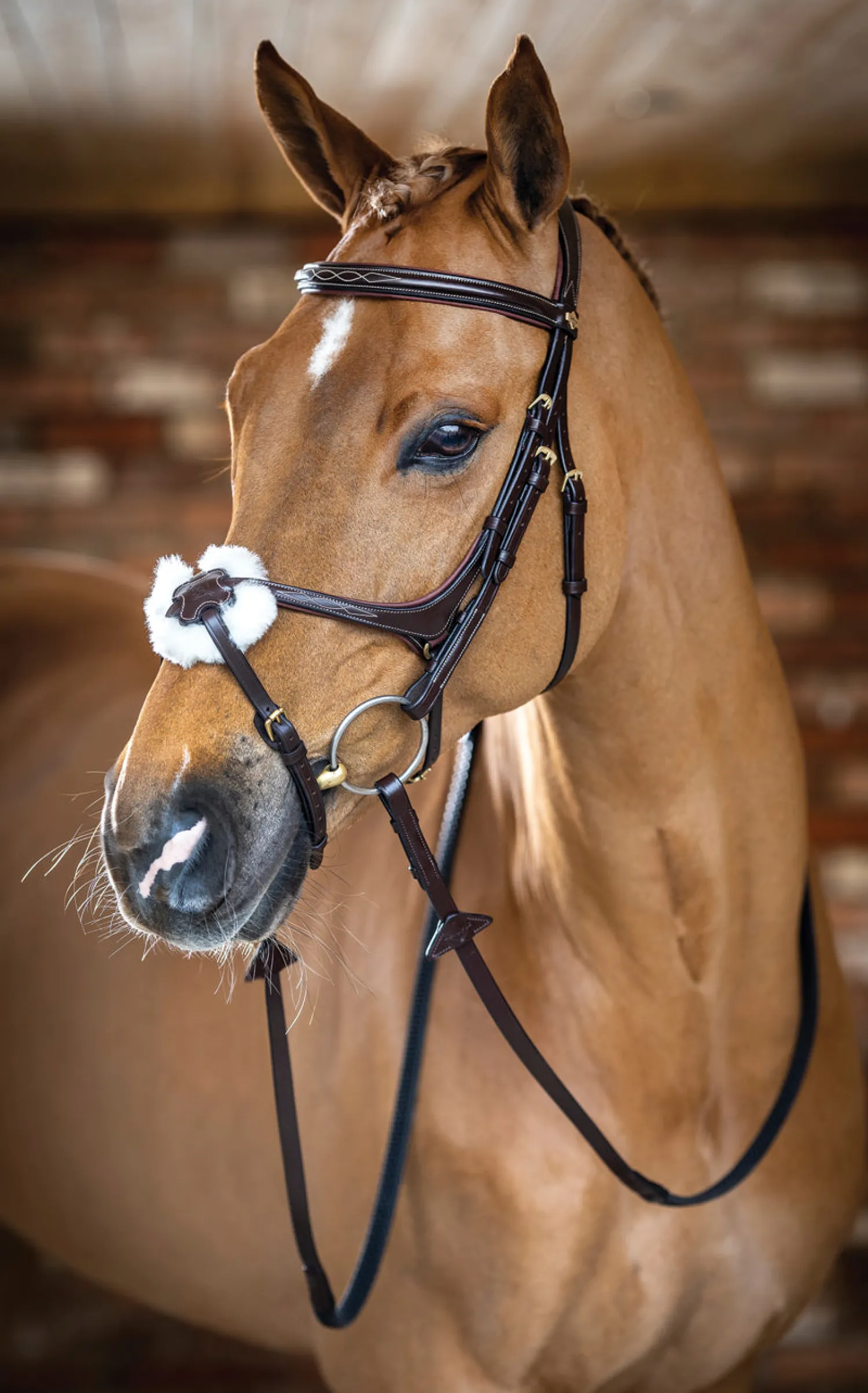 HORSE HEALTH TRADE LeMieux® Kudos Figure-8 Bridle Best