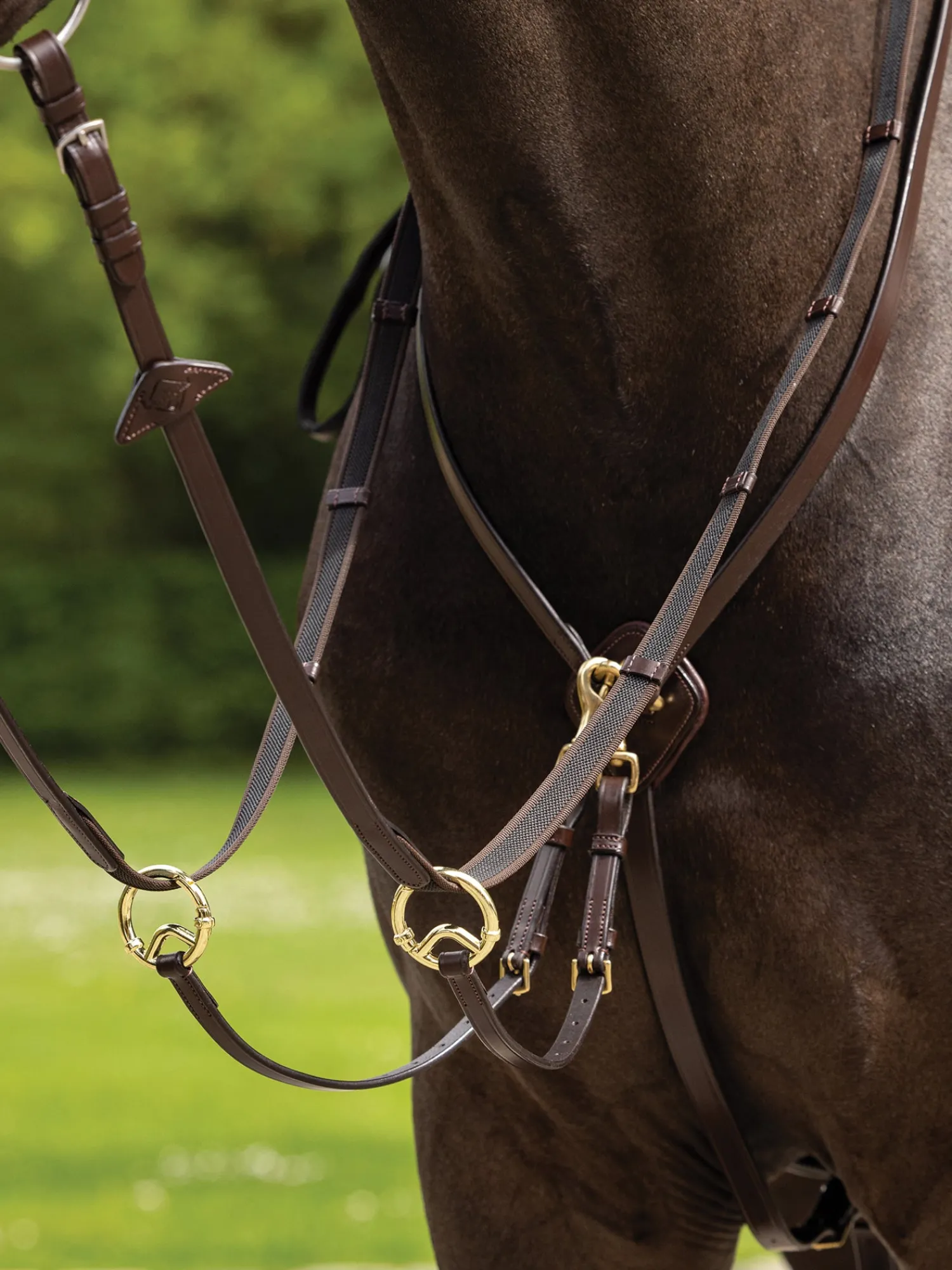 HORSE HEALTH TRADE LeMieux® Kudos Running Martingale Online