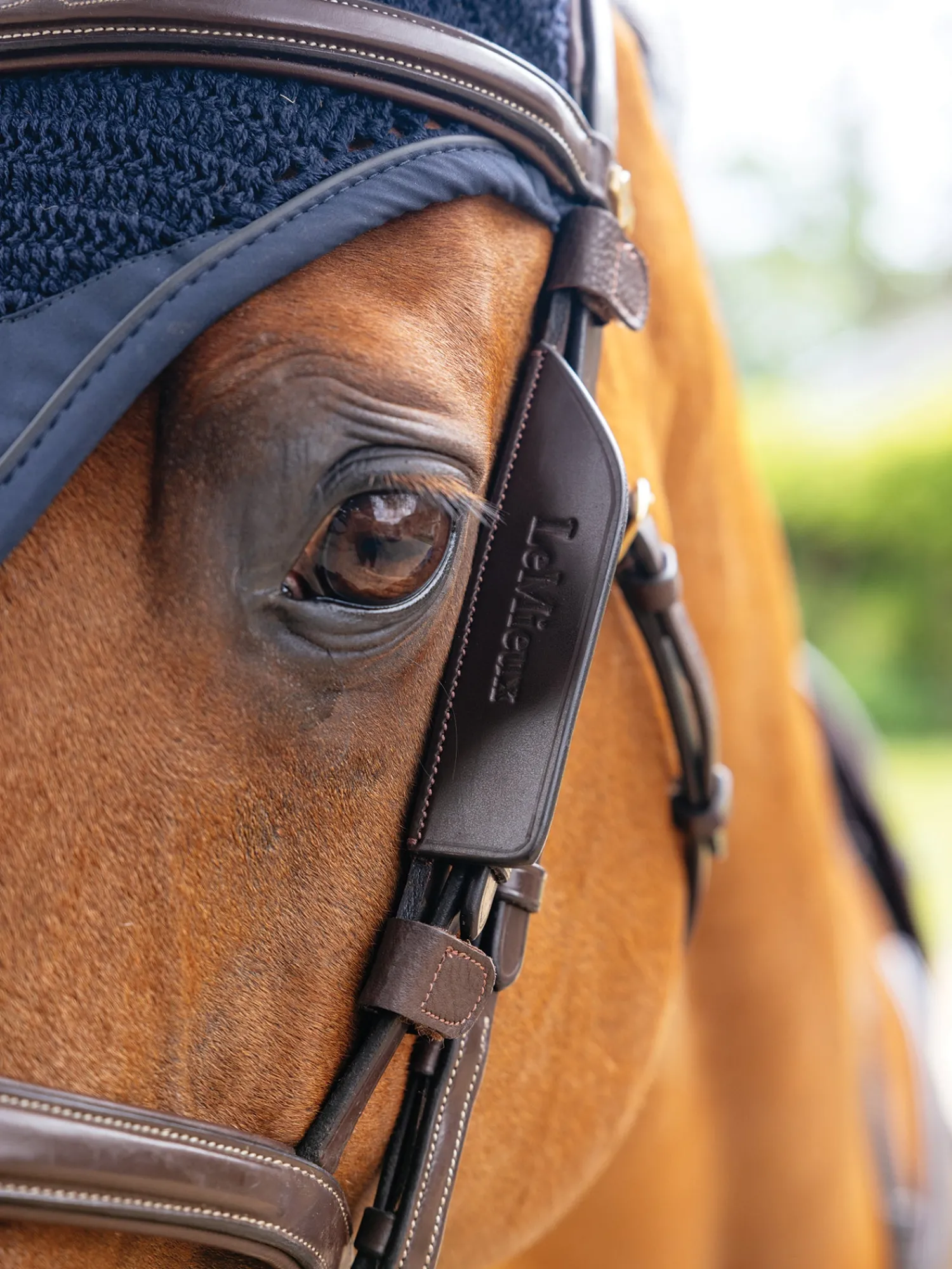 HORSE HEALTH TRADE LeMieux® Leather Bridle Blinkers Sale