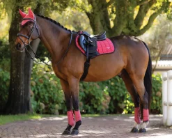 HORSE HEALTH TRADE LeMieux® Loire Classic Close Contact Saddle Pad Sale