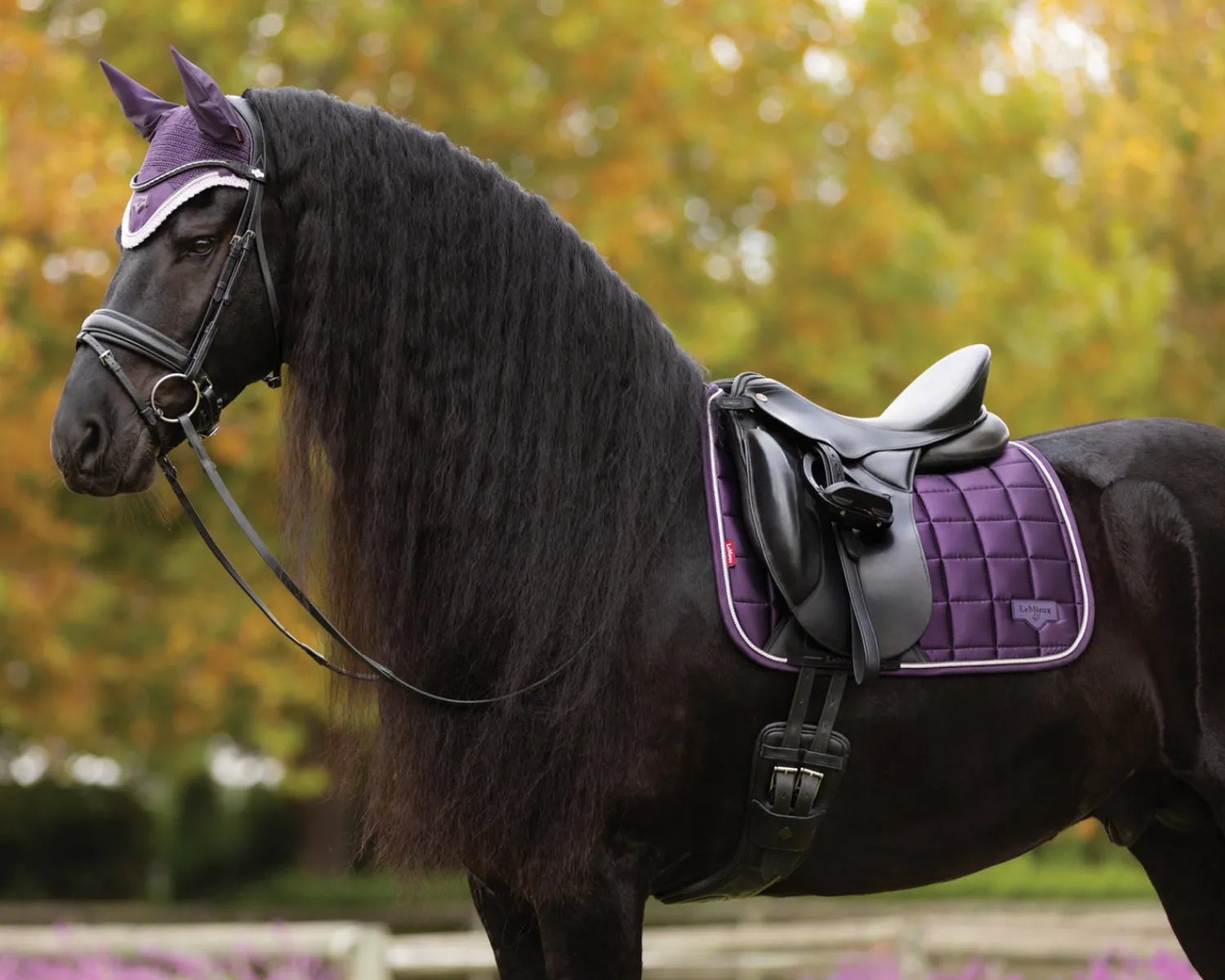 HORSE HEALTH TRADE LeMieux® Loire Classic Dressage Saddle Pad New