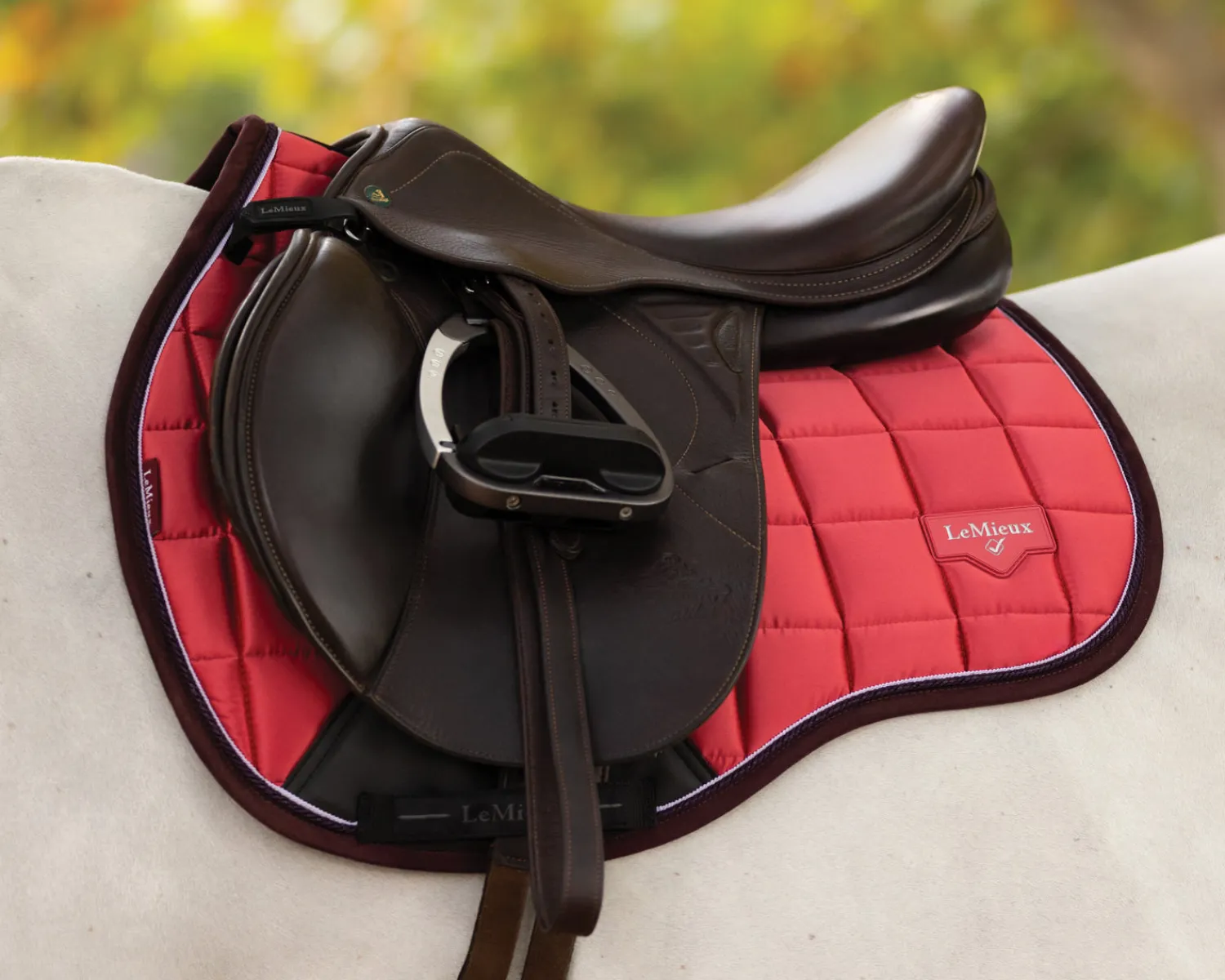 HORSE HEALTH TRADE LeMieux® Loire Classic GP Saddle Pad Best