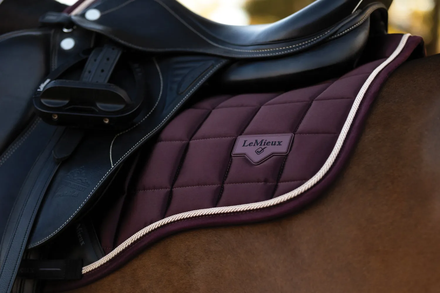 HORSE HEALTH TRADE LeMieux® Loire Classic GP Saddle Pad Best