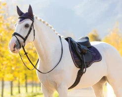 HORSE HEALTH TRADE LeMieux® Loire Classic GP Saddle Pad Best