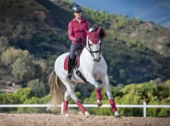 HORSE HEALTH TRADE LeMieux® Loire Polo Bandages