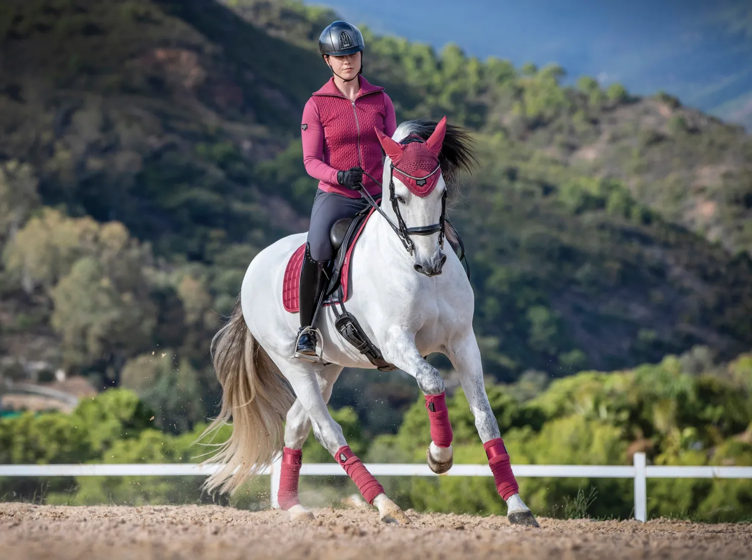 HORSE HEALTH TRADE LeMieux® Loire Polo Bandages