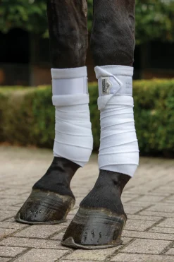 HORSE HEALTH TRADE LeMieux® Loire Polo Bandages