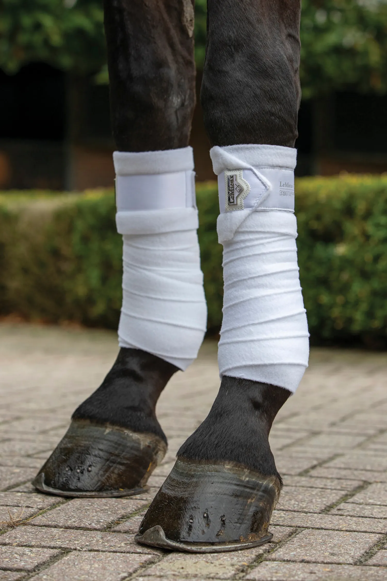 HORSE HEALTH TRADE LeMieux® Loire Polo Bandages
