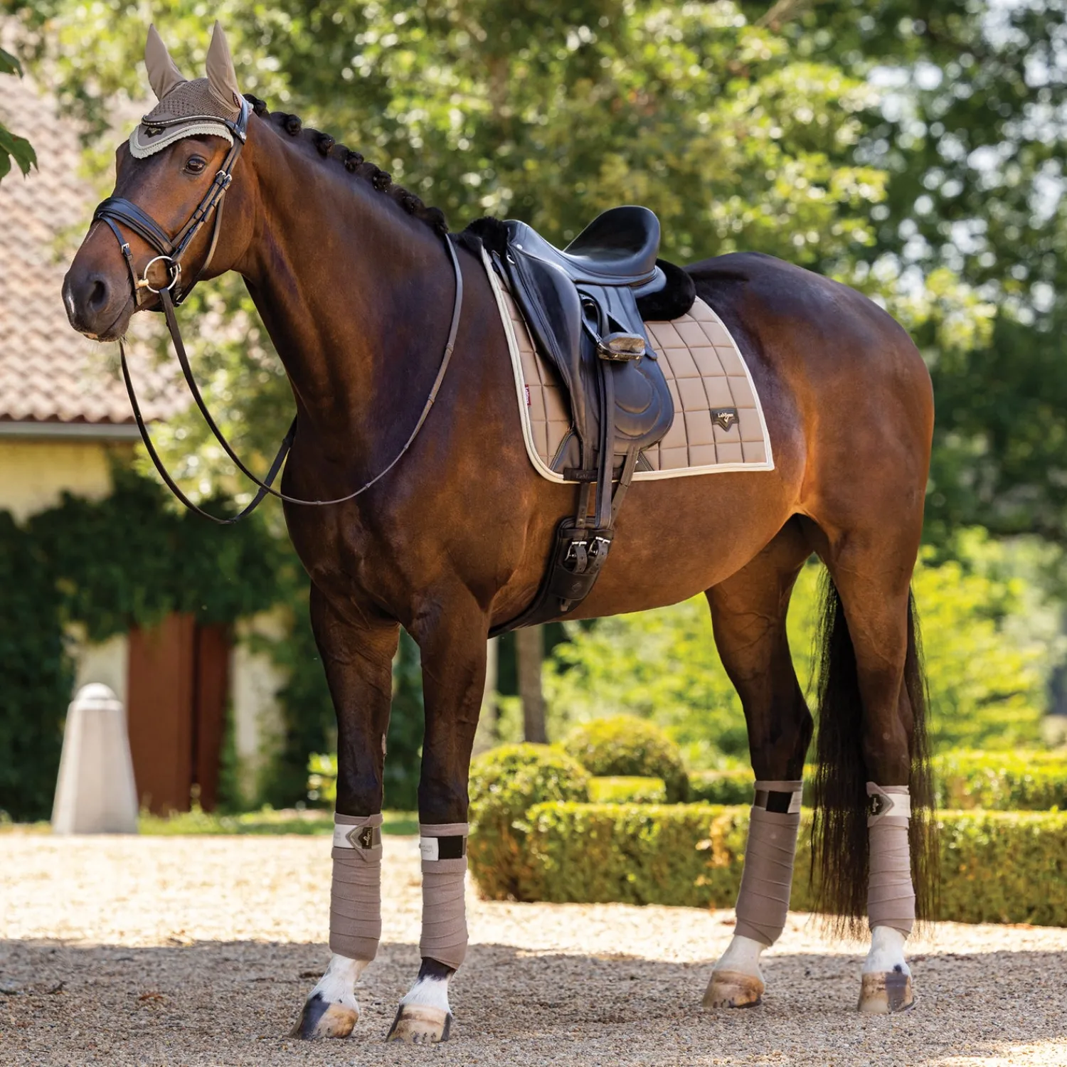 HORSE HEALTH TRADE LeMieux® Loire Polo Wraps Online