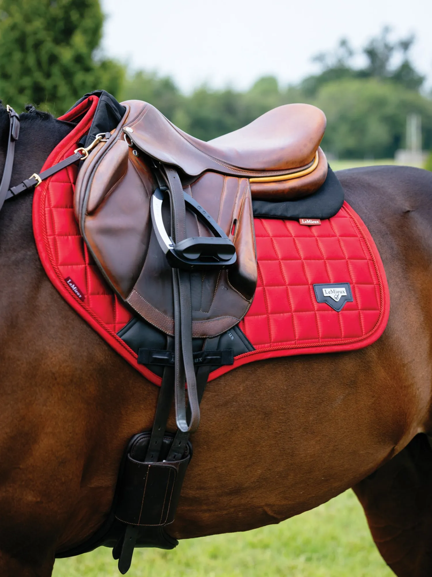 HORSE HEALTH TRADE LeMieux® Loire Satin Classic Close Contact Saddle Pad Discount