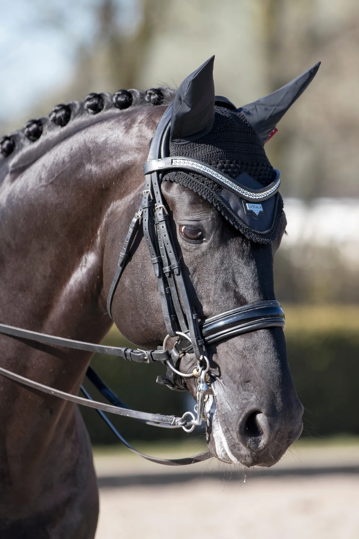 HORSE HEALTH TRADE LeMieux® Loire Satin Fly Bonnet Hot