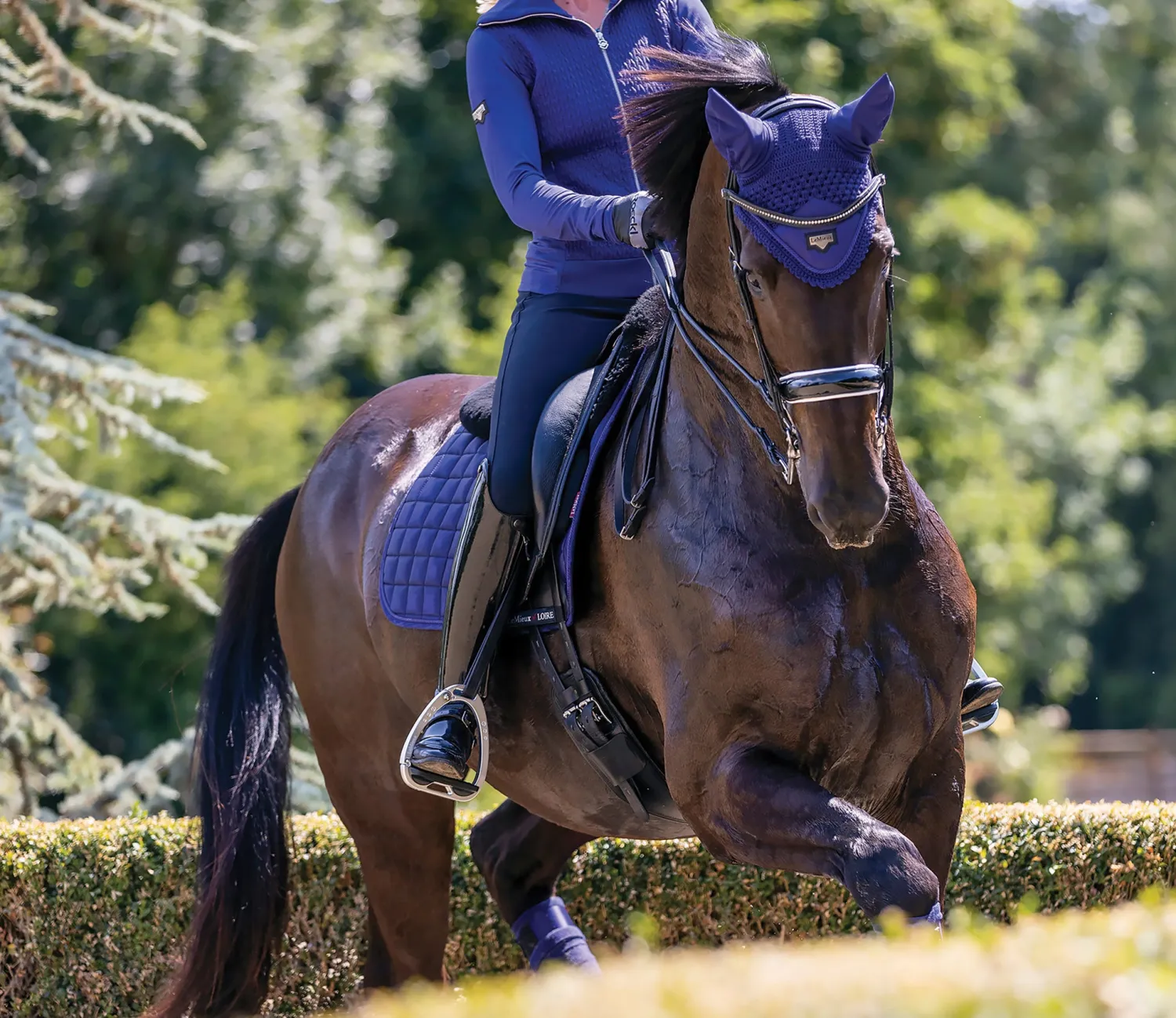 HORSE HEALTH TRADE LeMieux® Loire Satin Fly Bonnet Hot