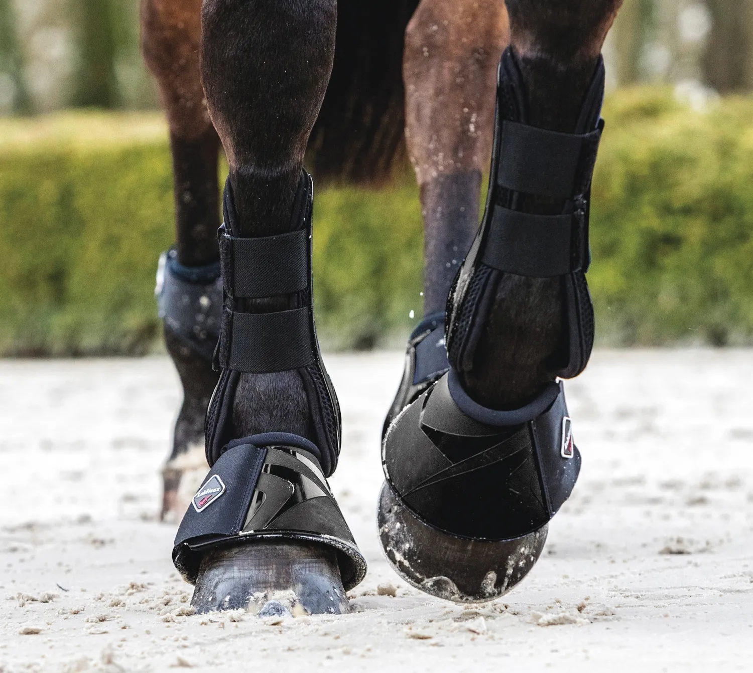 HORSE HEALTH TRADE LeMieux® ProShell Overreach Boots Clearance