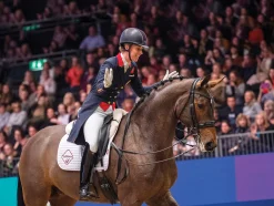 HORSE HEALTH TRADE LeMieux® ProSport Cotton Dressage Square Pad Best